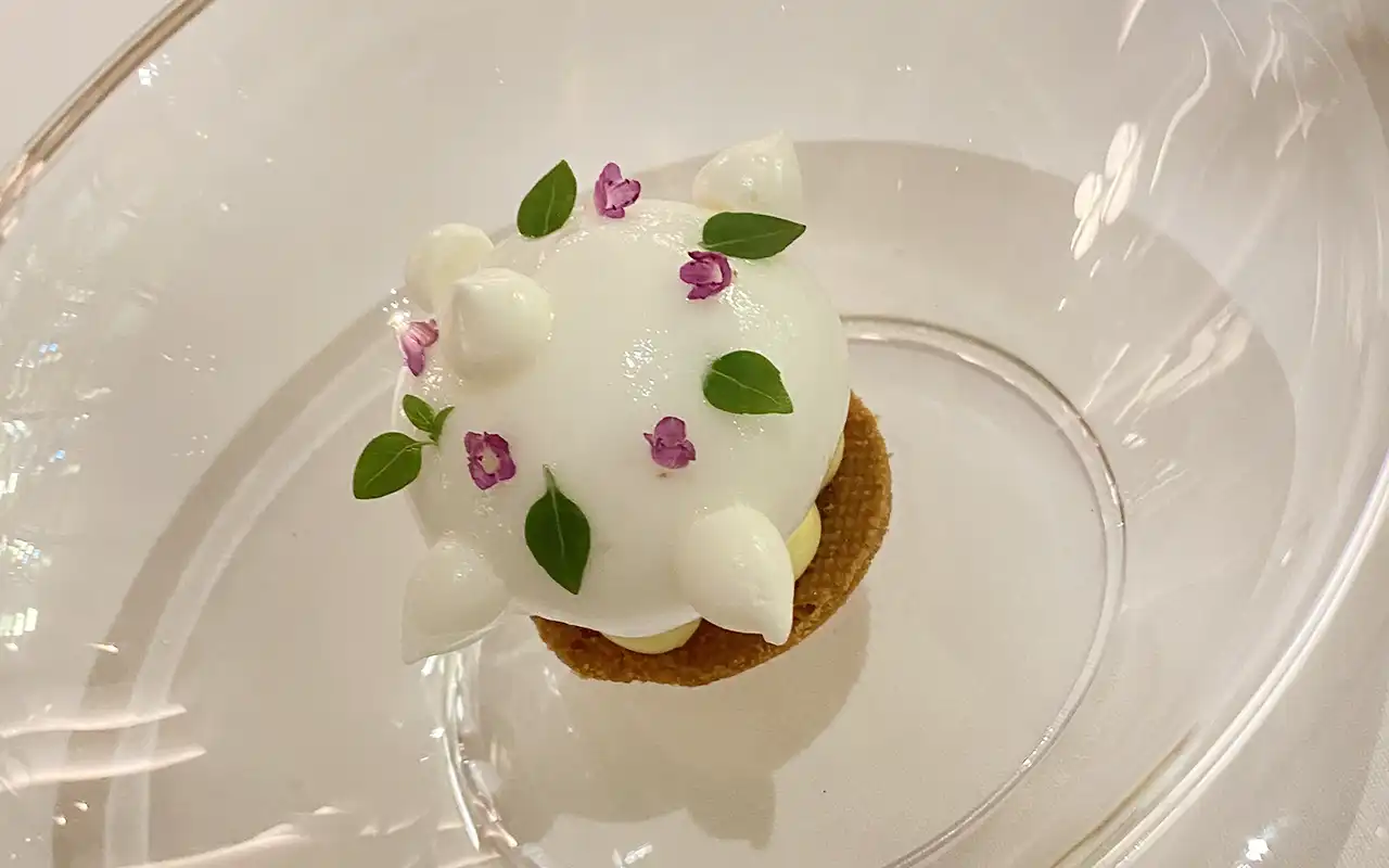 Upcoming Restaurants