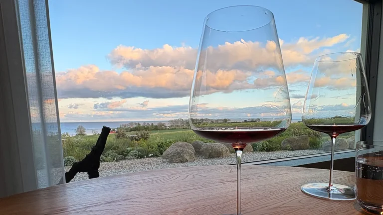 View from our table at Vyn, overlooking the coastline and countryside, with two glasses of red wine capturing the golden hour light