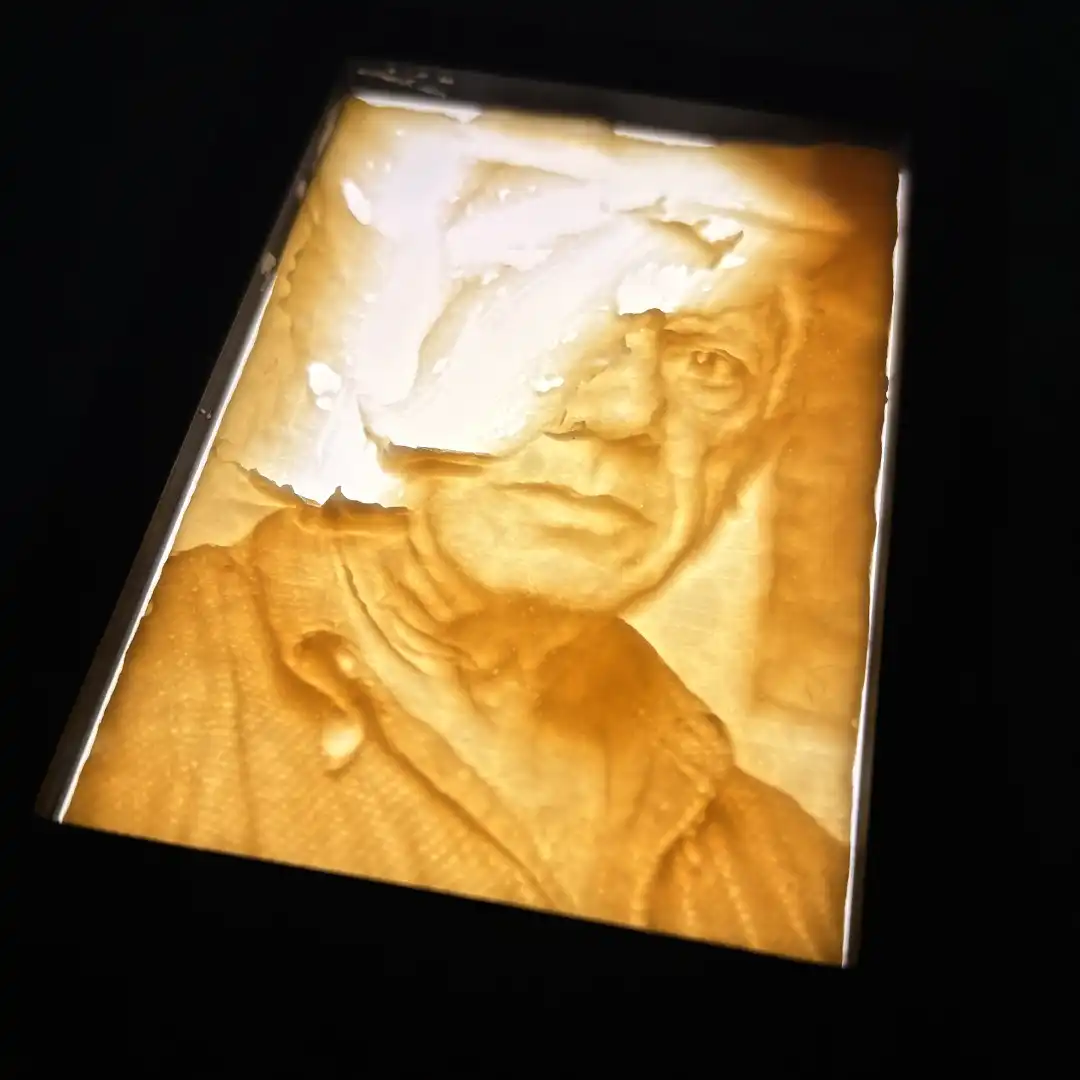 n artistic food presentation inspired by lithophane art, showcasing light and shadow