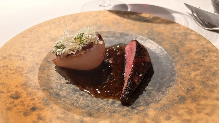 Peking Mache Pigeon with Roscoff onion, plum and vegan XO sauce at Restaurant Udtryk in Copenhagen