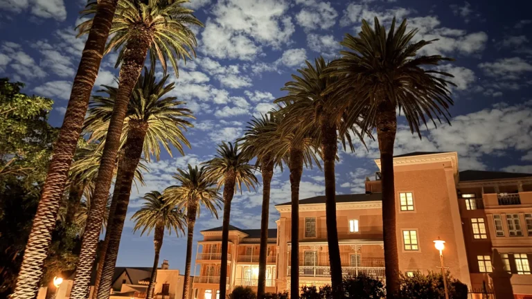 Mount Nelson Hotel Cape Town pink facade lit up at night with palm trees and evening sky
